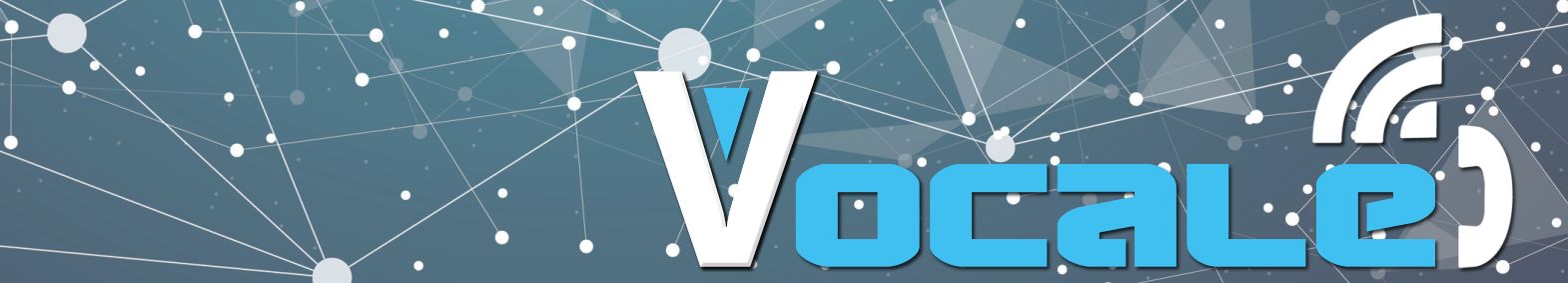 Vocale Banner
